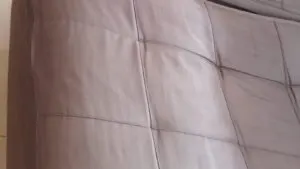 Bactérias e fungos que podem ser eliminados com a limpeza de sofá